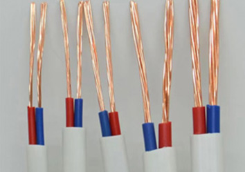 ZC-BVVB（2類 ）型號(hào)：2芯（0.5mm²²～16mm²²）
