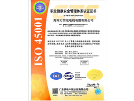 職業(yè)健康安全管理體系認證證書