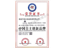 中國自主創(chuàng)新品牌